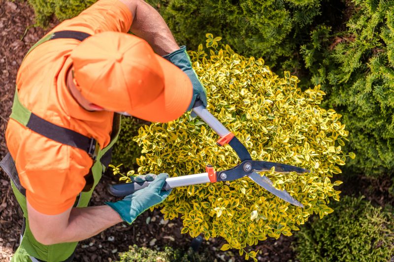 Garden Maintenance Contractors