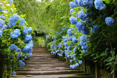 Clear Space and and Pathways!